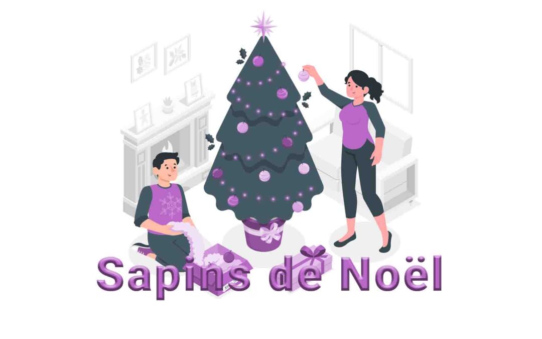 Commandez Votre Sapin de Noël